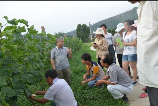社市委到登封開展技術(shù)服務(wù)活動(dòng)