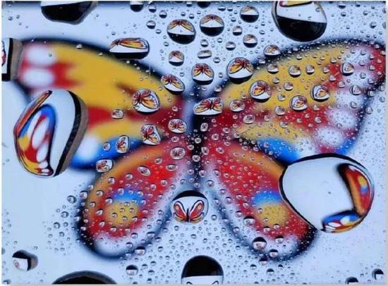 （社員李杰手機(jī)制作美圖秀秀）